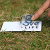 Transparant label